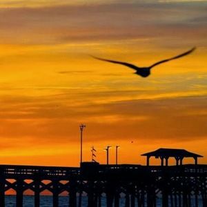 Meet your Posher, Susanne